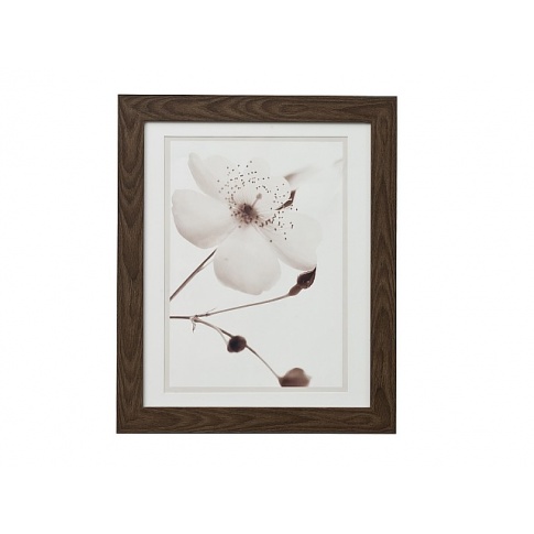 Dekoracyjny obraz Kwiat brązowa rama 42x52 w sklepie Dedekor.pl