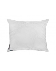 Komfortowa poduszka Golden Lux 40x40 w sklepie Dedekor.pl